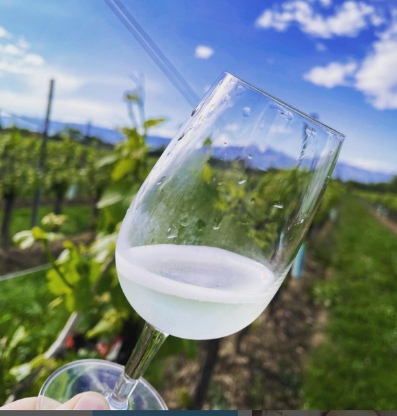 Il segreto del Prosecco DOC