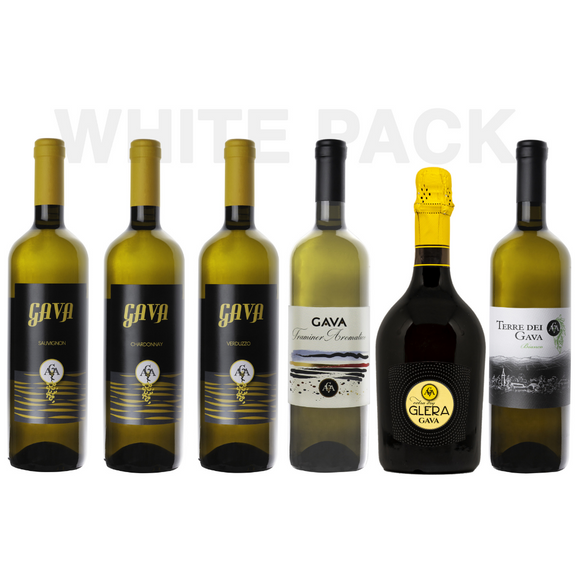 vendita vino