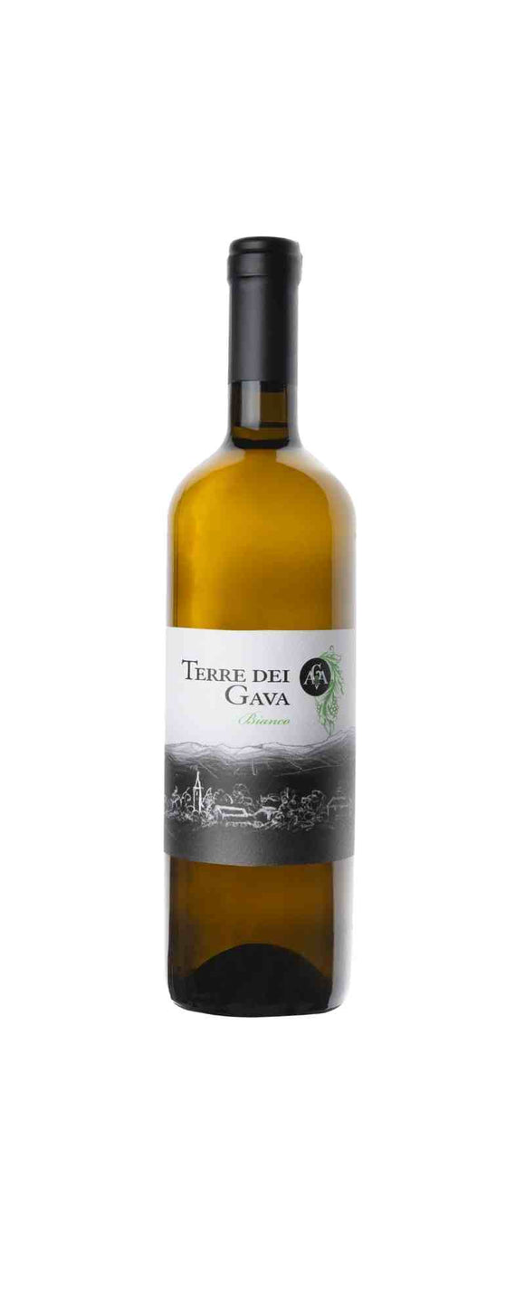 vendita vino